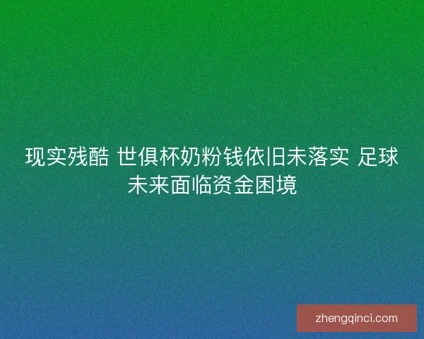 现实残酷 世俱杯奶粉钱依旧未落实 足球未来面临资金困境